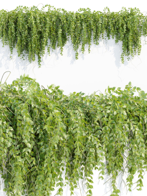 hanging-wall-plants-vol-127-3d-model-75758c6a8e