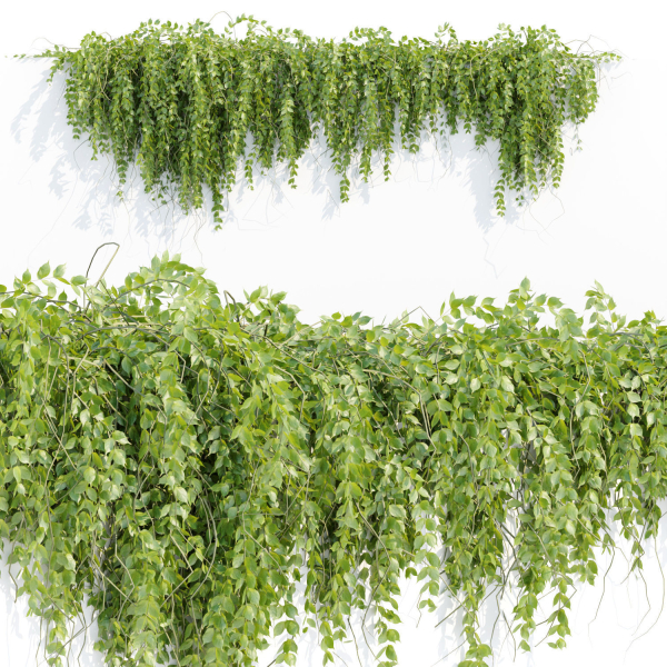 Hanging wall plants vol 127