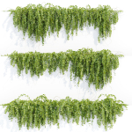 Hanging wall plants vol 127