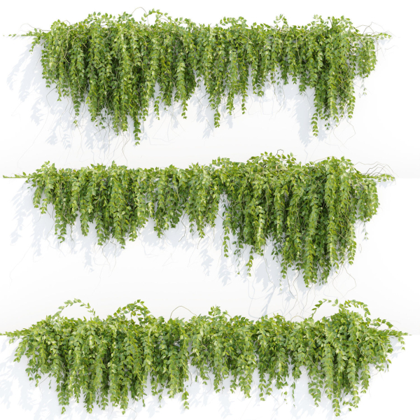 Hanging wall plants vol 127
