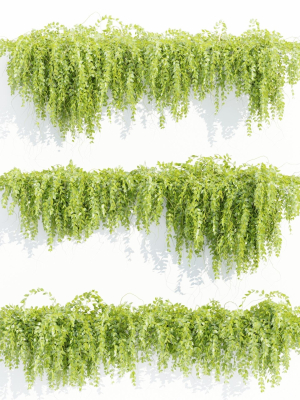 Hanging wall plants vol 127-Blender