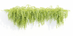 Hanging wall plants vol 127-Blender