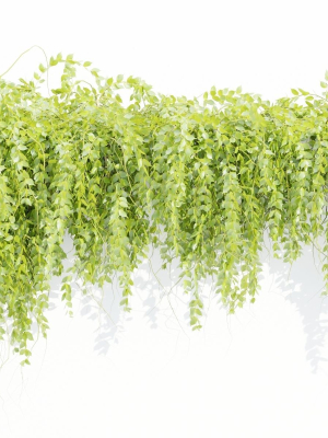 hanging-wall-plants-vol-127-blender-3d-model-213f36c184