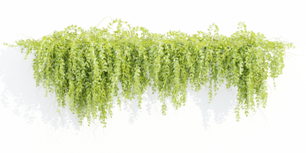 Hanging wall plants vol 127-Blender