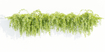 Hanging wall plants vol 127-Blender