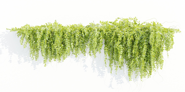 Hanging wall plants vol 127-Blender