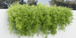 Hanging wall plants vol 171-Blender
