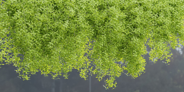 Hanging wall plants vol 171-Blender