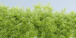Hanging wall plants vol 171-Blender