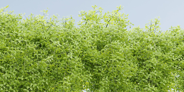 Hanging wall plants vol 171-Blender