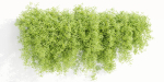 Hanging wall plants vol 171-Blender