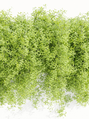 Hanging wall plants vol 171-Blender