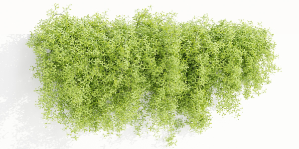 Hanging wall plants vol 171-Blender