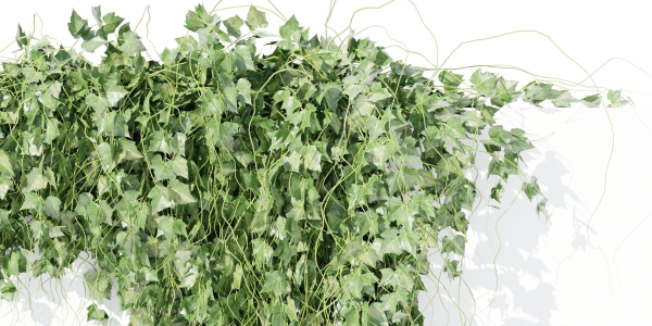 Hanging wall plants vol 91-Blender