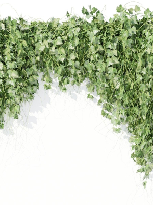 Hanging wall plants vol 91-Blender