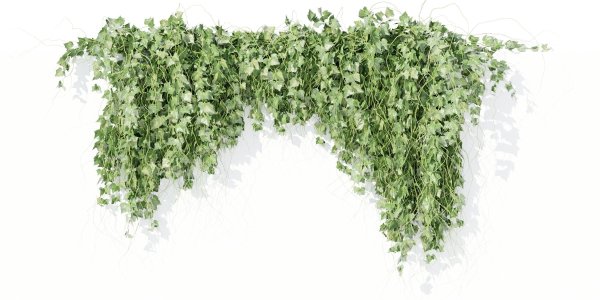 Hanging wall plants vol 91-Blender