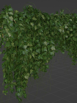 hanging-wall-plants-vol-91-blender-3d-model-d5775d0ab7