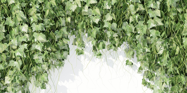 Hanging wall plants vol 91-Blender