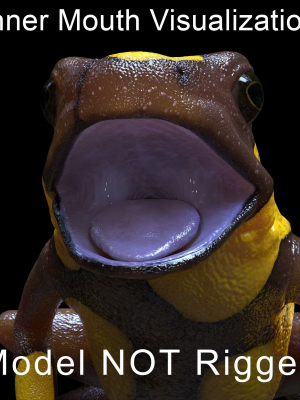 harlequin-poison-dart-frog-3d-model-max