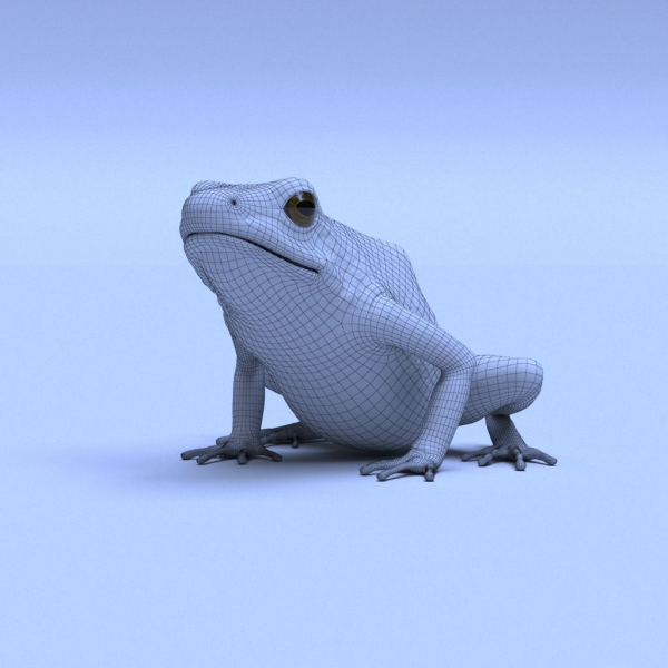 Harlequin Poison Dart Frog