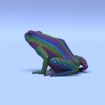 Harlequin Poison Dart Frog