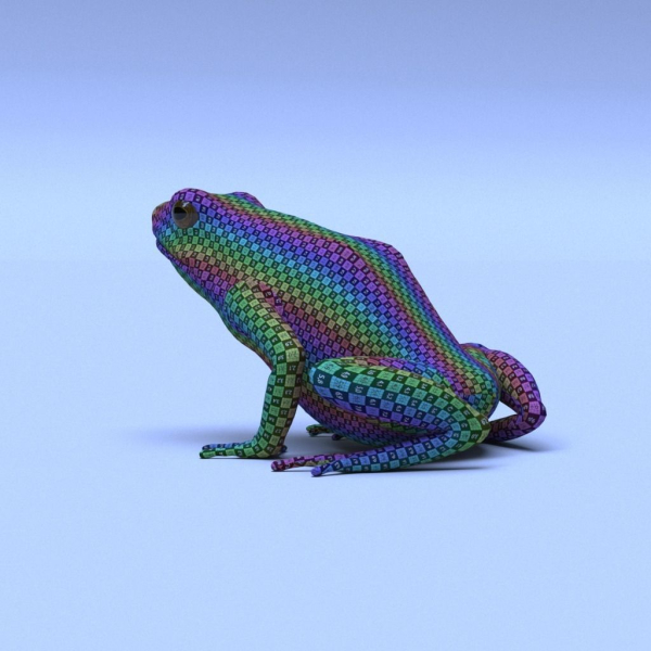 Harlequin Poison Dart Frog