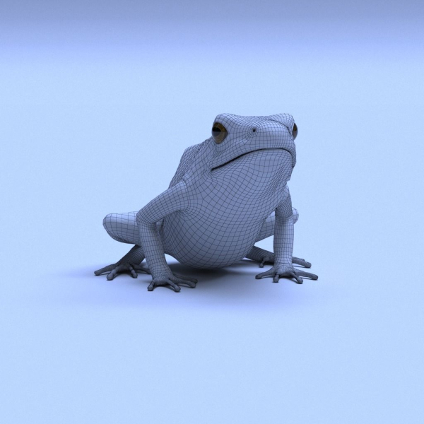 Harlequin Poison Dart Frog