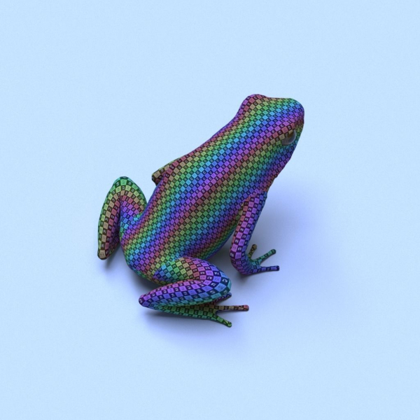 Harlequin Poison Dart Frog