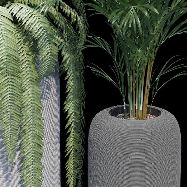 Havalo three potted plants