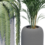 Havalo three potted plants