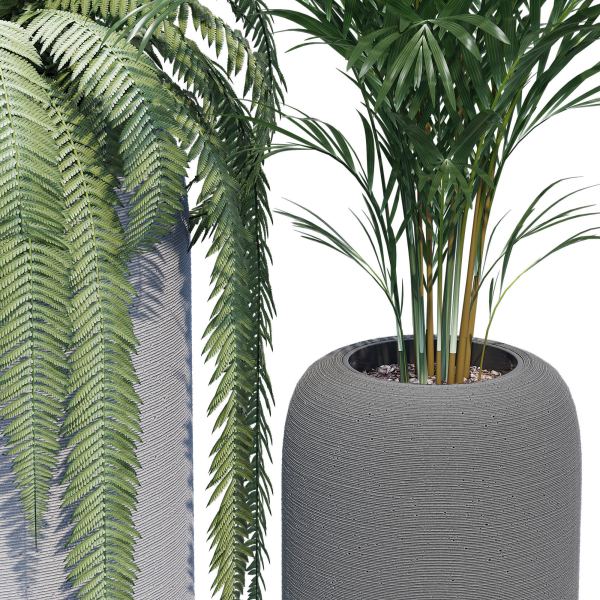 Havalo three potted plants