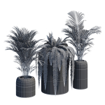 Havalo three potted plants
