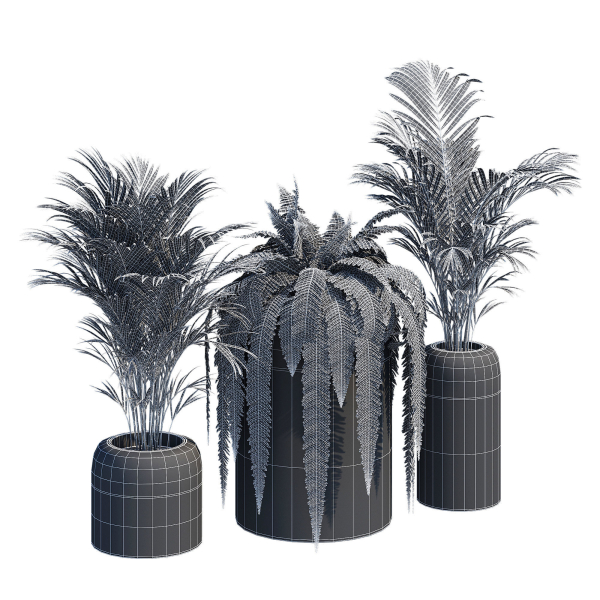 Havalo three potted plants