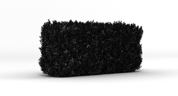 Hedge