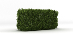 Hedge
