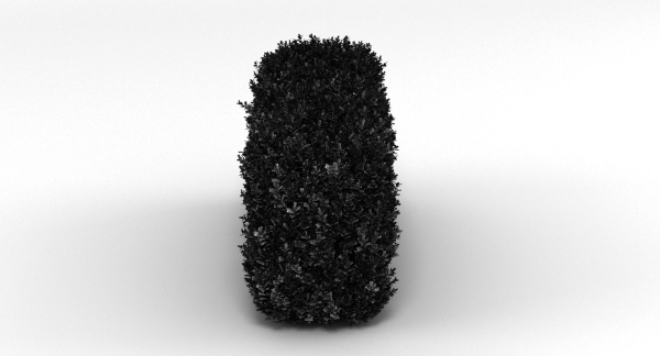Hedge
