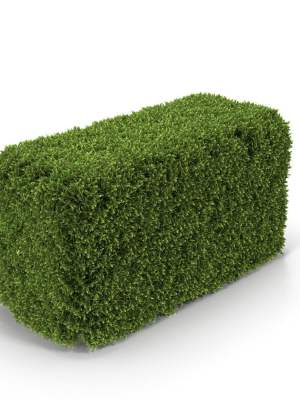 hedge-box-3d-model-max-obj-fbx
