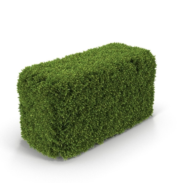 Hedge Box