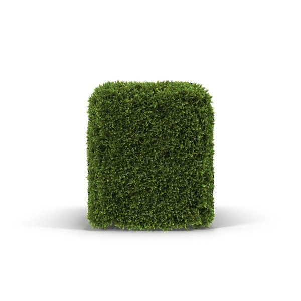 Hedge Box
