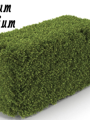 Hedge Box