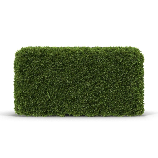 Hedge Box