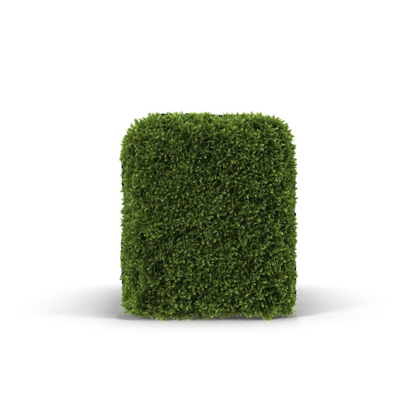 Hedge Box