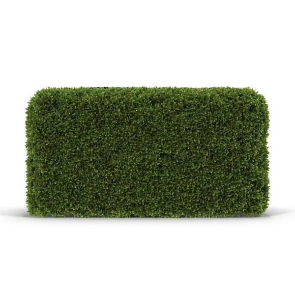 Hedge Box