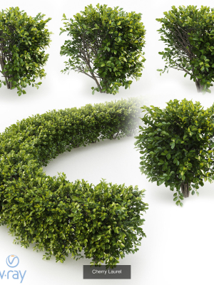hedge-shrubs-vol-1-3d-model-max-obj-mtl-fbx