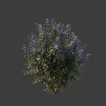 Hedge shrubs vol 1