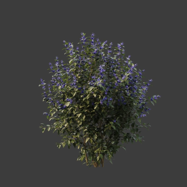 Hedge shrubs vol 1
