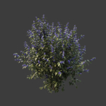 Hedge shrubs vol 1