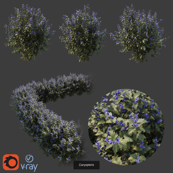 Hedge shrubs vol 1