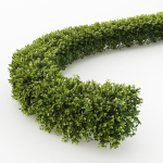 Hedge shrubs vol 1