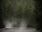 HeliosEnvironment vol13 Fog Decals